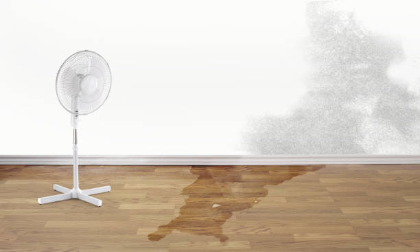 Best Flood damage cleanup  in Oroville East, CA