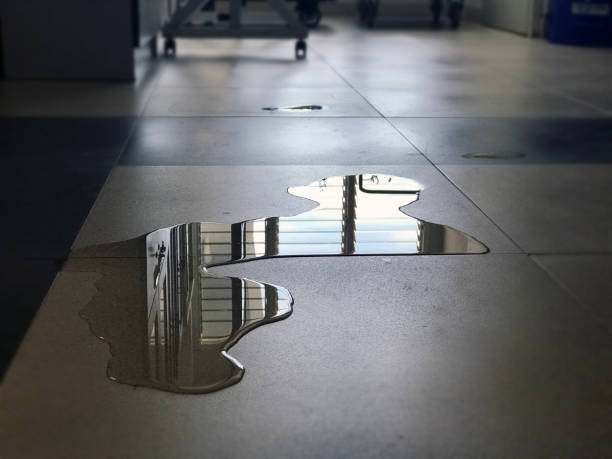 Best Local water damage restoration  in Oroville East, CA