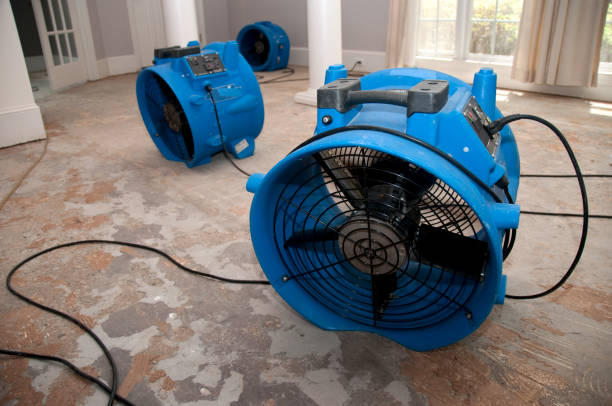 Best Water damage contractors near me  in Oroville East, CA