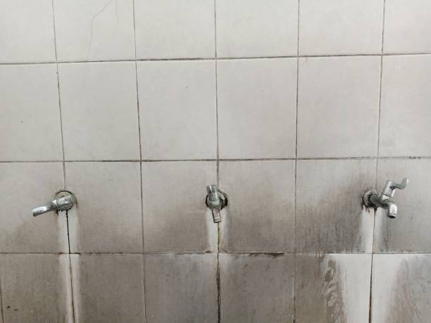 Best Water damage restoration near me  in Oroville East, CA