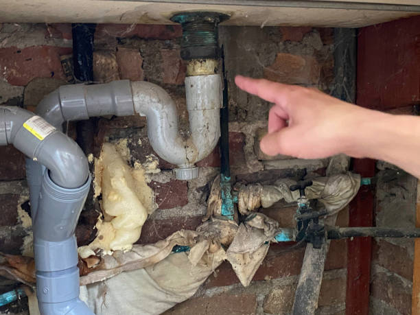 Best Fire Damage Restoration  in Oroville East, CA